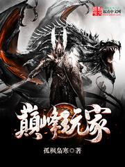 巅峰玩家的地图