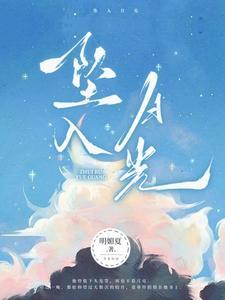 坠入月光检察官特警