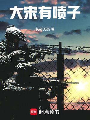 大宋有种百度百科