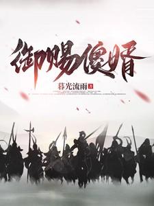 御赐傻婿原著在线阅读