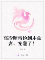 宠翻了txt