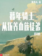 暮年骑士
