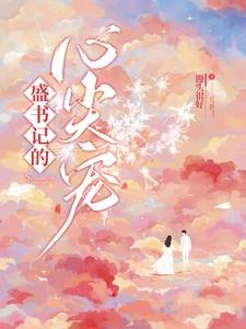盛书记的心尖宠全集免费观看
