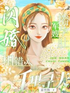 军嫂揣孕肚千里寻夫免费