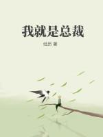 我就是总裁夫人电视剧免费观看