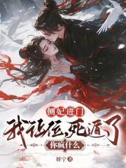 侧妃 知乎