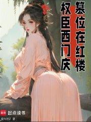 权臣西门庆篡位在红楼最新章节列表