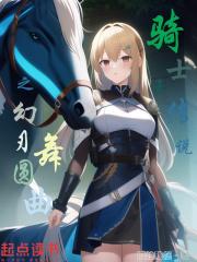 骑士王系列武器礼装的幻色 骑士王系列武器礼装的幻色