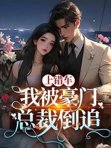 上错车免费阅读 上错车免费阅读