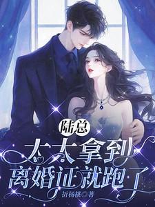陆太太又闹离婚陆北司