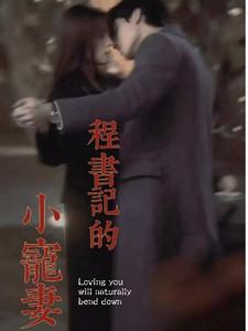 程书记的小宠妻笔趣阁一顾九思 著