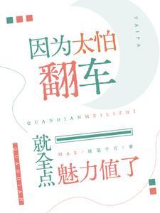 因为太怕翻车就全点魅力值了免费阅读笔趣阁