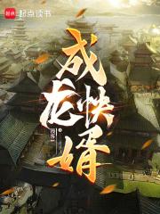 乘龙怪婿