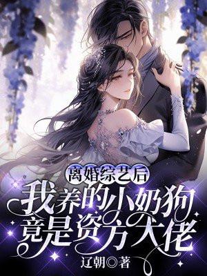 离婚了 综艺 离婚了 综艺