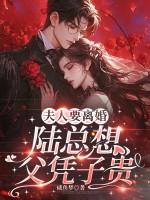 陆夫人他只想离婚