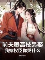 前夫攀高枝另娶