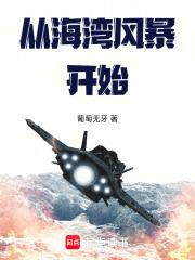 从海湾风暴开始79章后面内容不一样