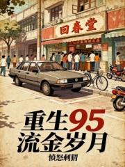 重生95流金岁月陈北免费