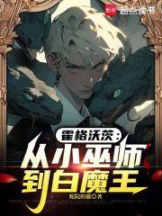 霍格沃茨从小巫师到白魔王免费