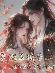 灵魂互换后摄政王在后宅杀疯了短剧