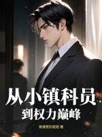 从乡镇到高官的官场