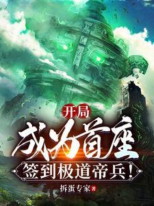 开局成为首座签到极道帝兵简介