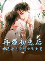 再遇傅先生全文免费