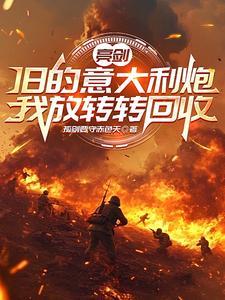 亮剑意大利炮有几发炮弹