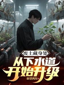 废土藏身处从下水道开始升级类似的书