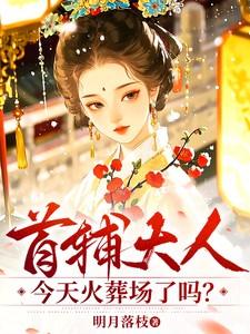 首辅大人今天火葬场了吗?苏瞻