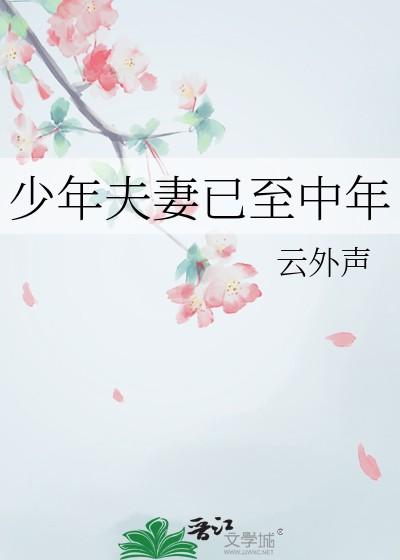 少年夫妻已至中年全文
