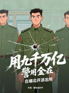 用九千万亿警用金在缅北开派出所类