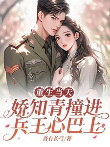 娇知青撞进兵王心巴上 吾有长弓 / 著
