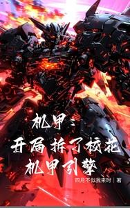 机甲开局拆了校花机甲引擎