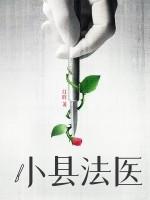 县法医待遇怎么样