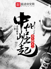 神级狂婿林凡全集无弹窗 神级狂婿林凡全集无弹窗