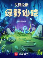 绿野仙踪流程图