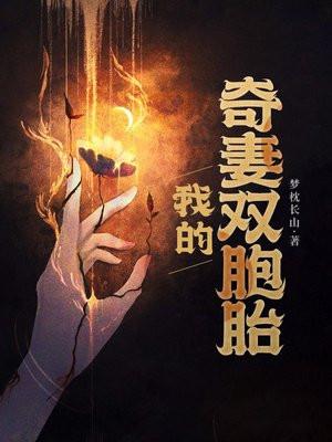 我的老婆是双胞胎