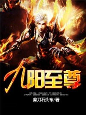 九阳至尊境界全部介绍