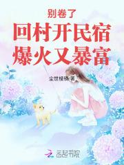 开一家乡村民宿需要多少钱