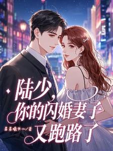 陆少的闪婚暖妻