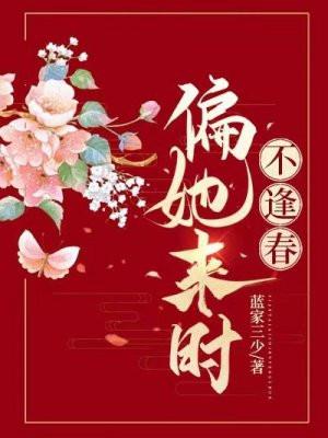 偏她来时不逢春沈辞