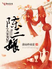 大宋宠妃陈三娘简介