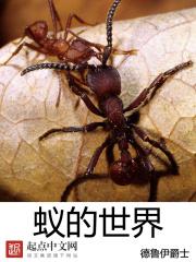 蚁的世界在线阅读