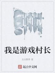 我是游戏村长全文免费阅读