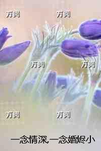 一念情深全文免费阅读无弹窗