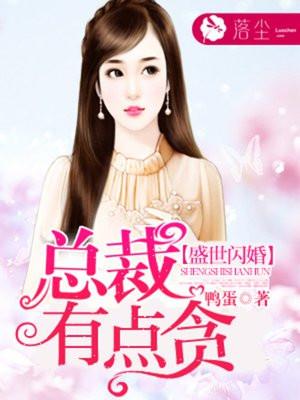 盛世闪婚总裁有点贪免费