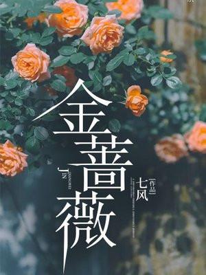 金蔷薇花