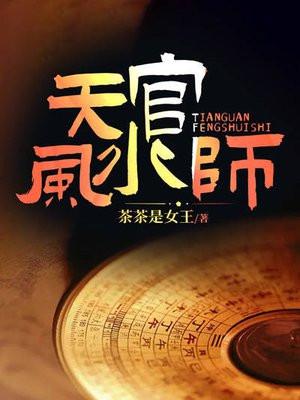 天官风水师TXT免费
