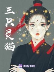 三只猫视频
